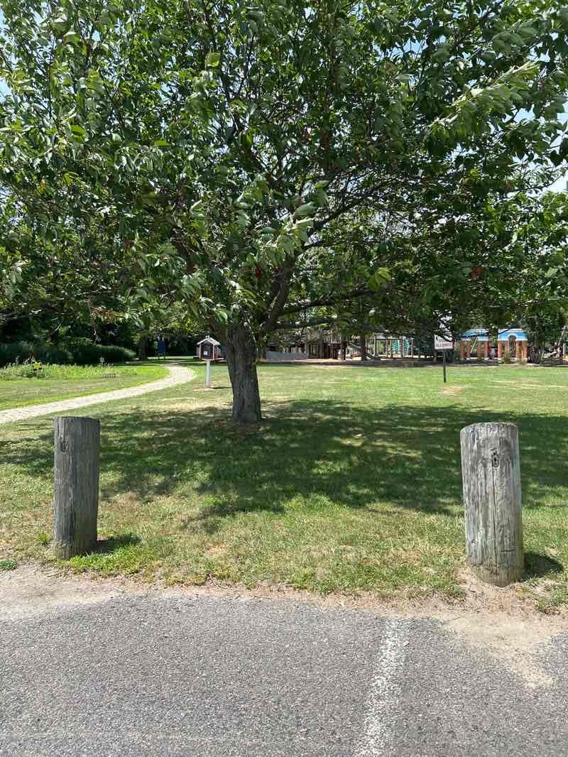 walking near me in Henry Rowland Memorial Playground in summer