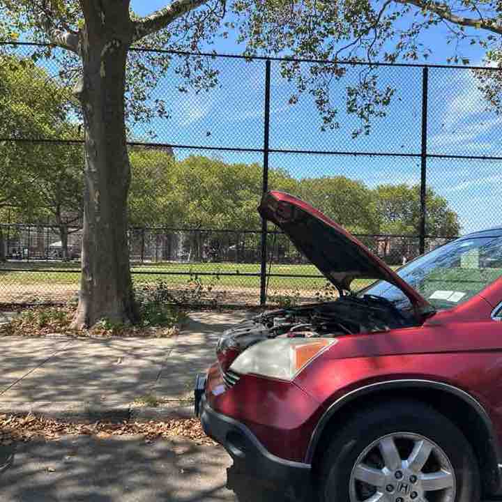 Give us your tired, poor, downtrodden. Those yearning to be free. post 1