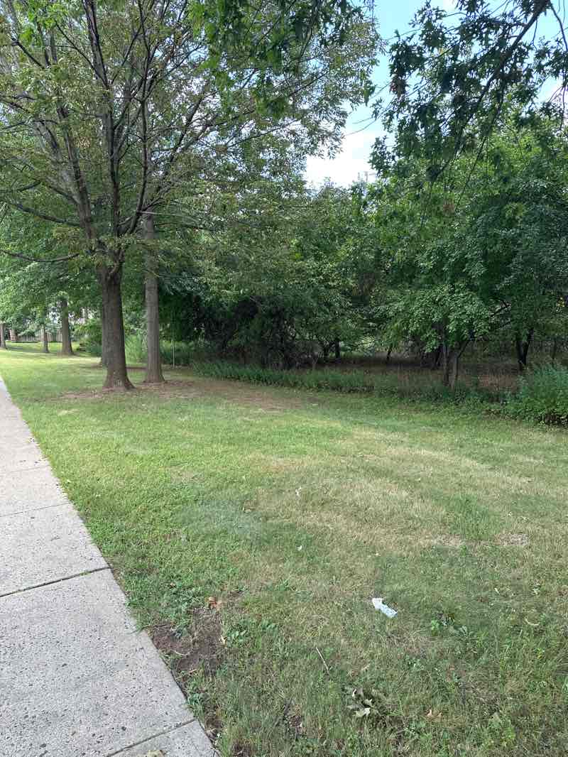 walking near me in Park Ave Nature Walk in autumn