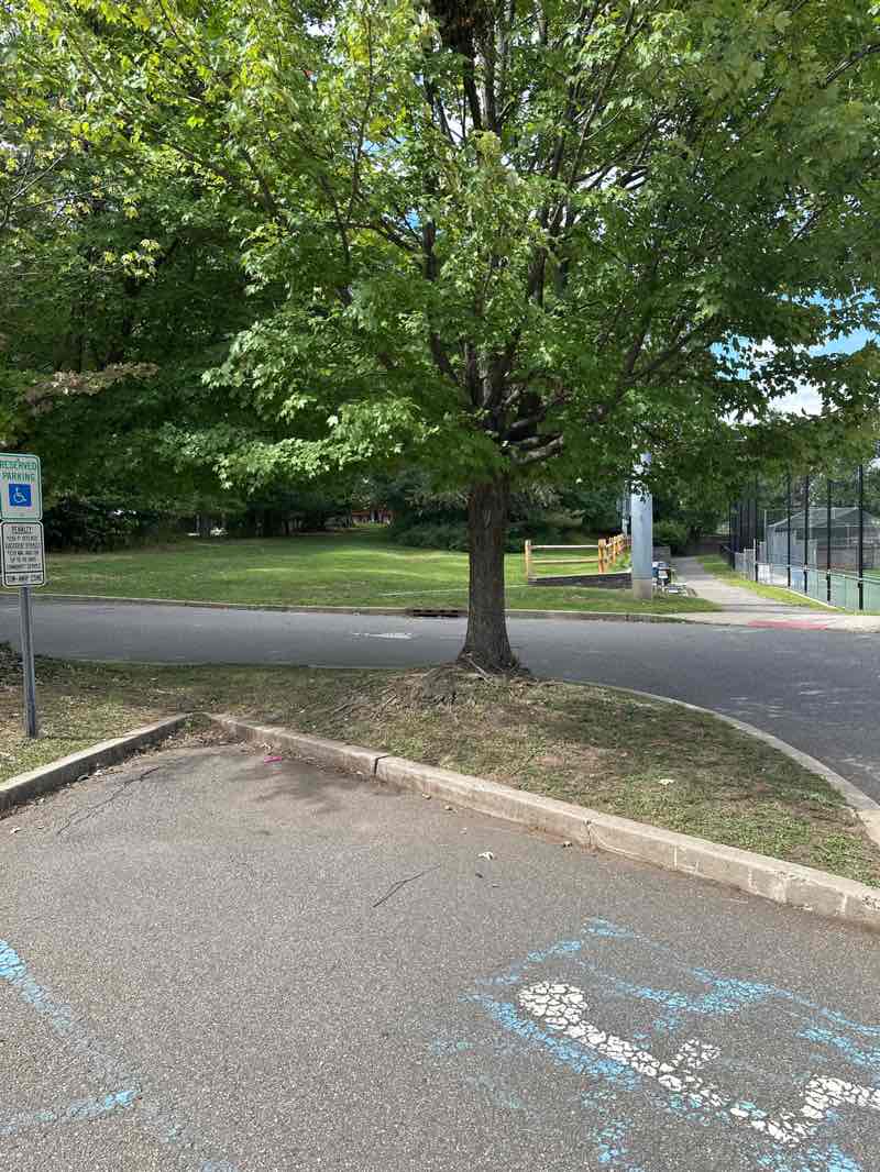 walking near me in Myrtle-Charles Park in autumn