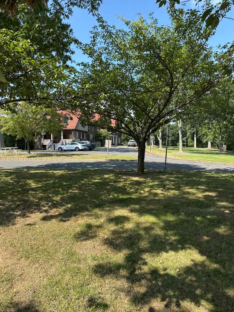 walking near me in Astor Fields in autumn