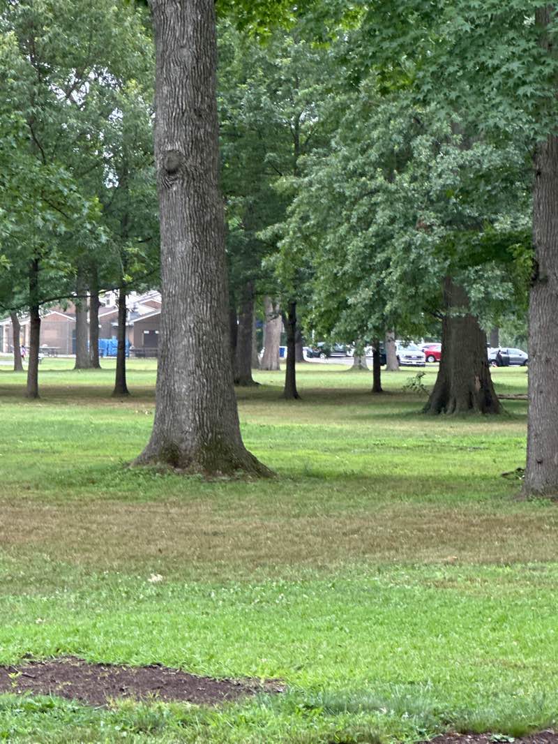 walking near me in Rahway River Park in autumn