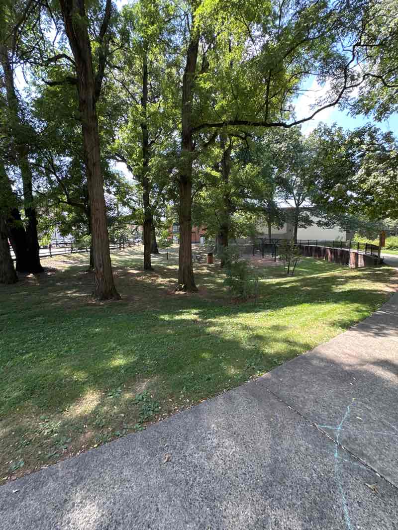 walking near me in Founders Park in autumn
