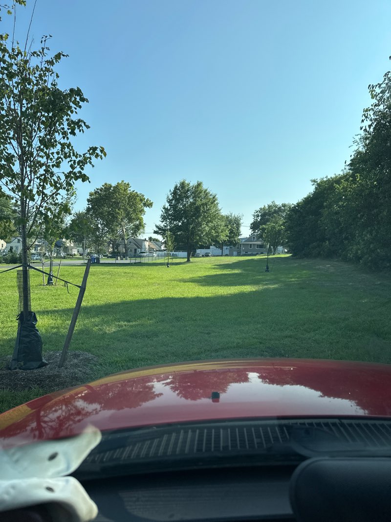 walking near me in Regina Street Park in autumn