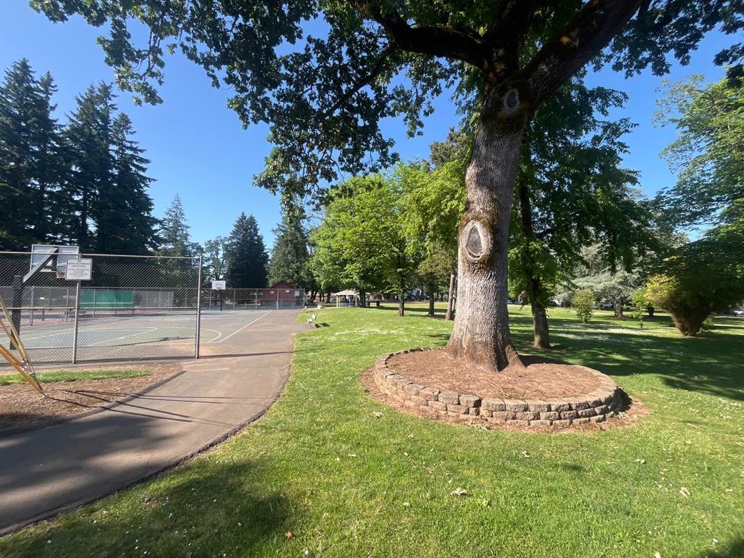 walking near me in Rivercrest Park in spring