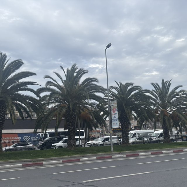 Zp City ,,Zaporozhye’’ Лилия Нотевская post image