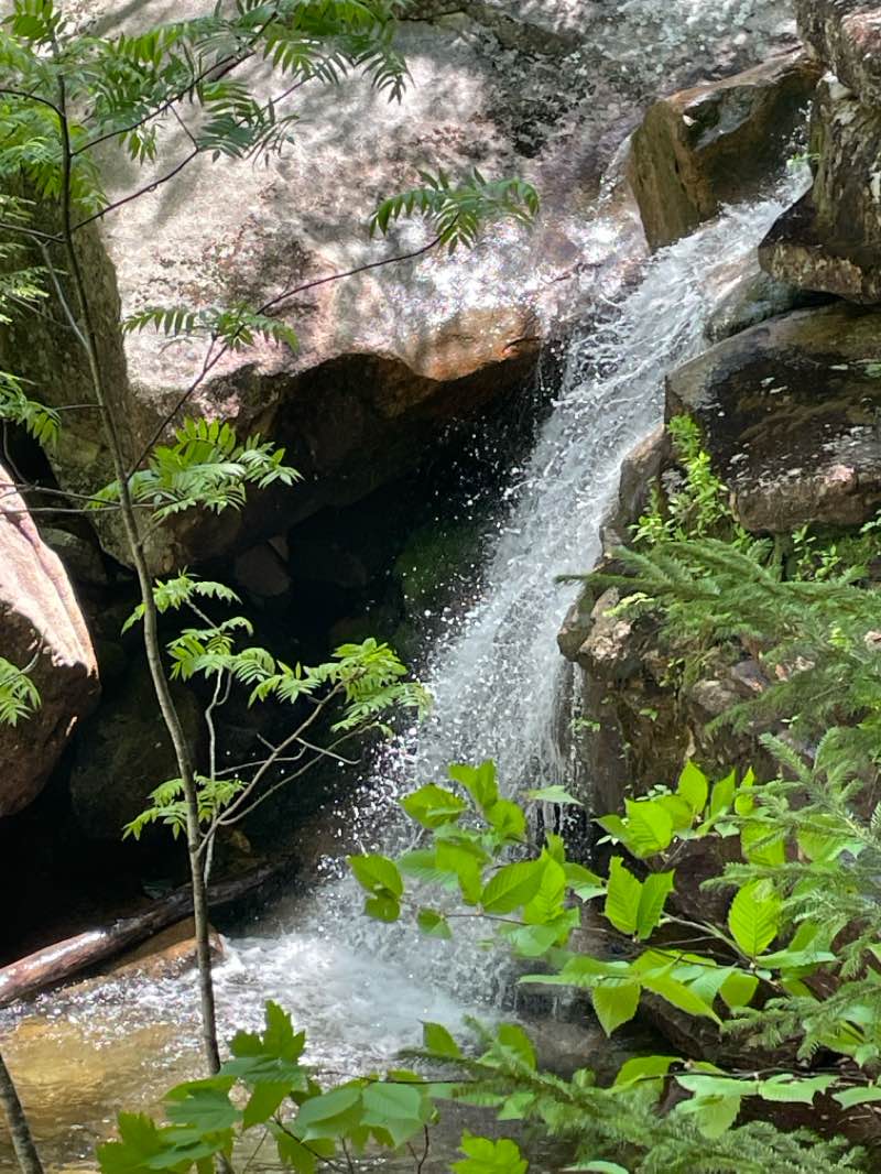 walking near me in Mount Chocorua Scenic Area in winter