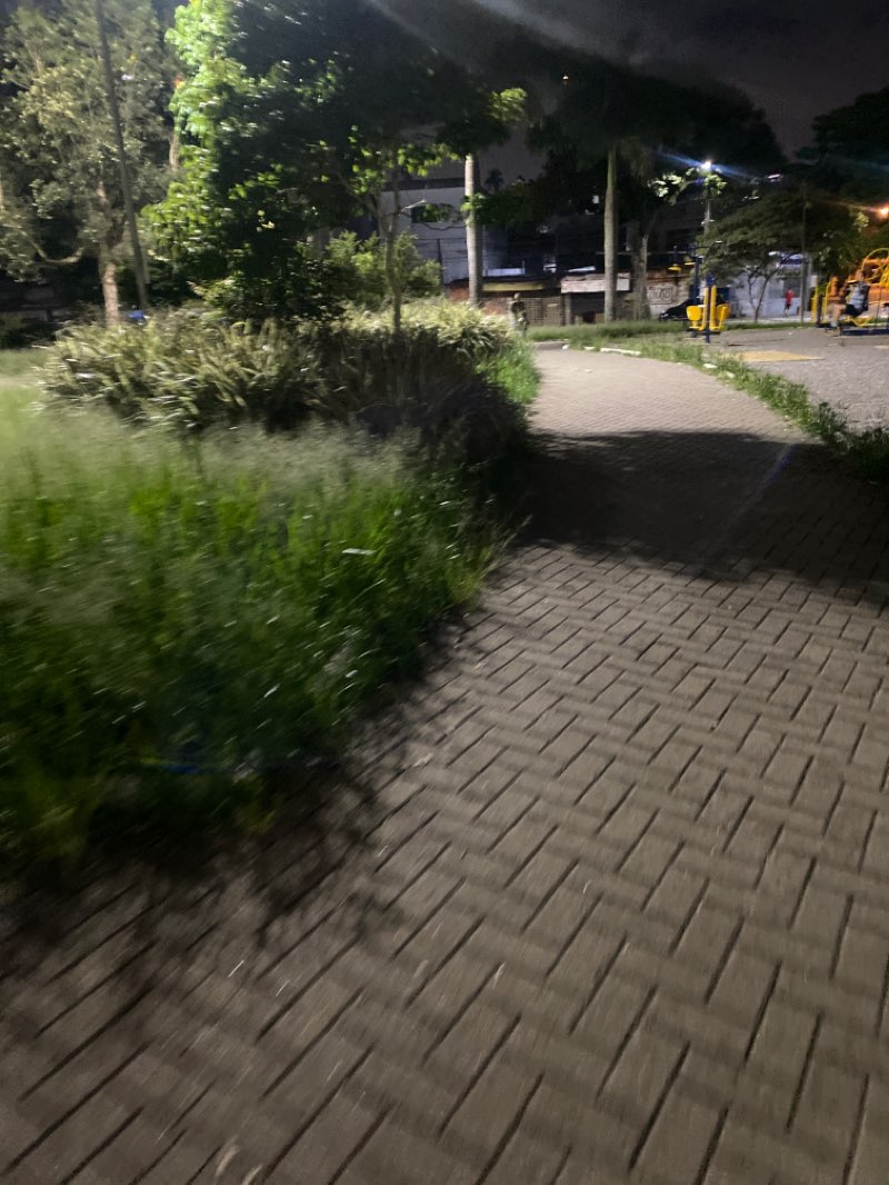 walking near me in Praça dos Emancipadores in summer