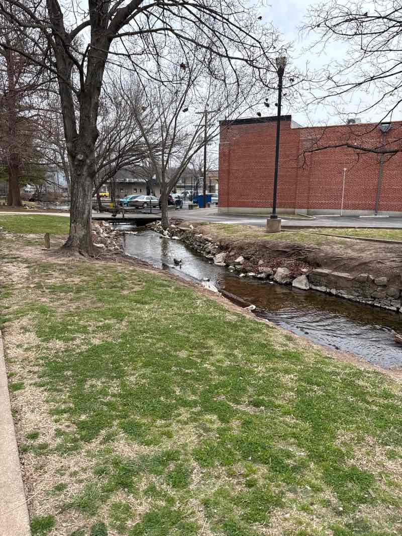 walking near me in Big Spring Park in spring