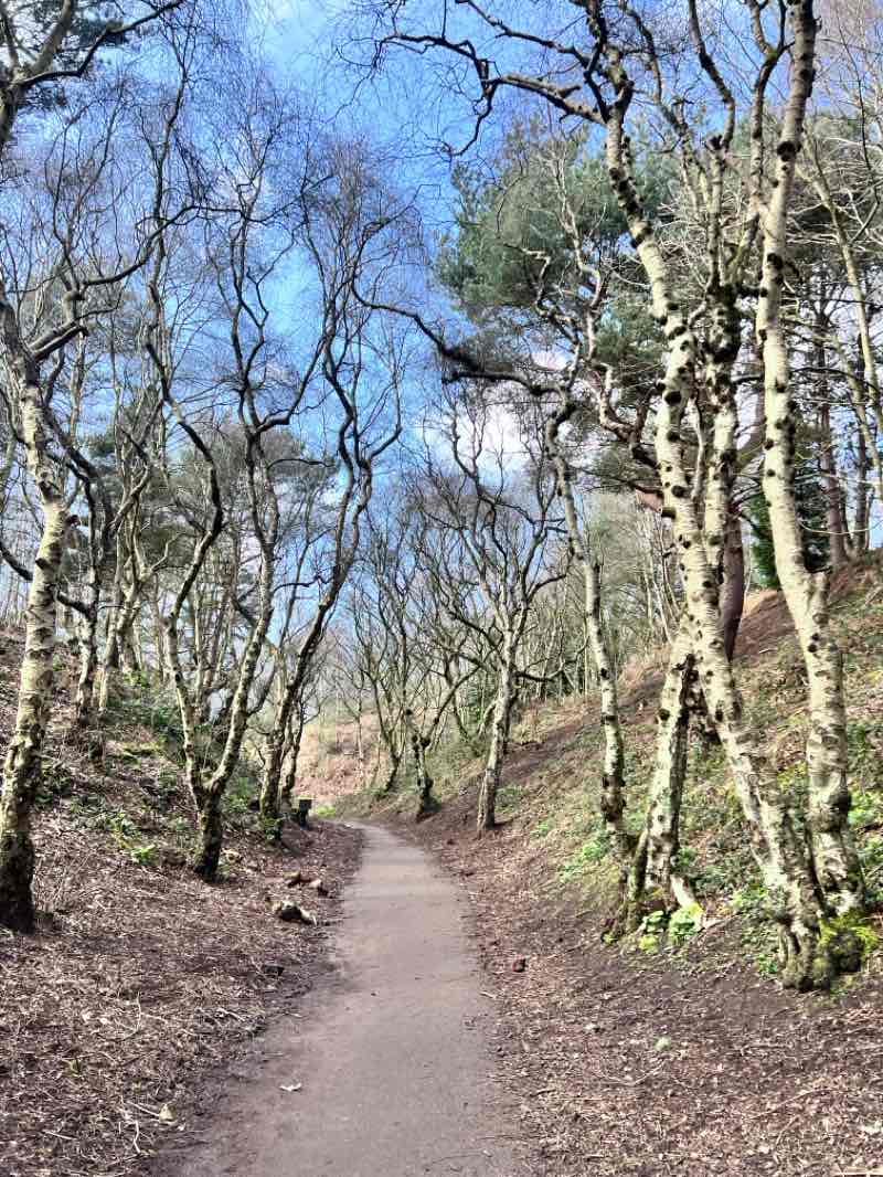 walking near me in Runcorn Hill Park in spring