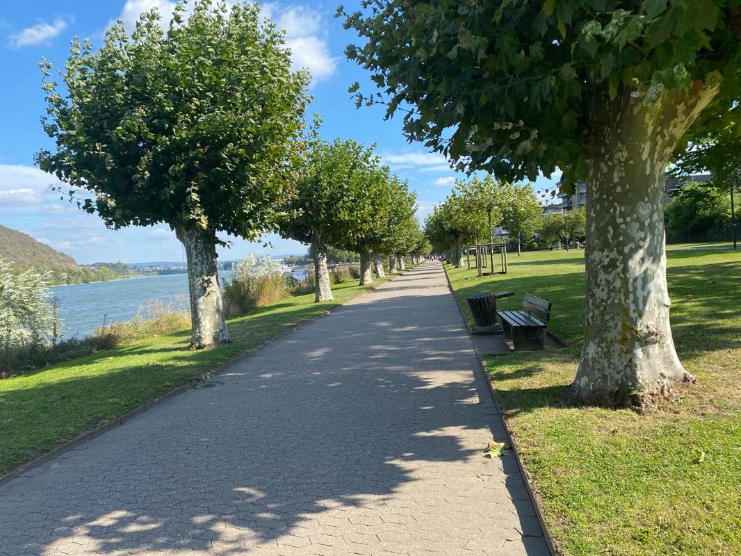 walking near me in Rheinanlagen Erweiterung in winter