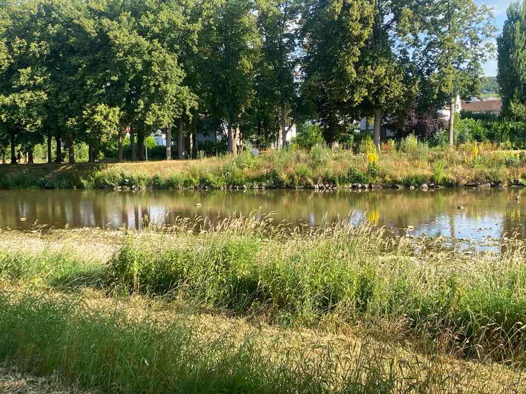 walking near me in Dahliengarten in summer