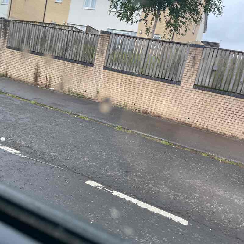 Jimmy fae SCOTLAND post 2