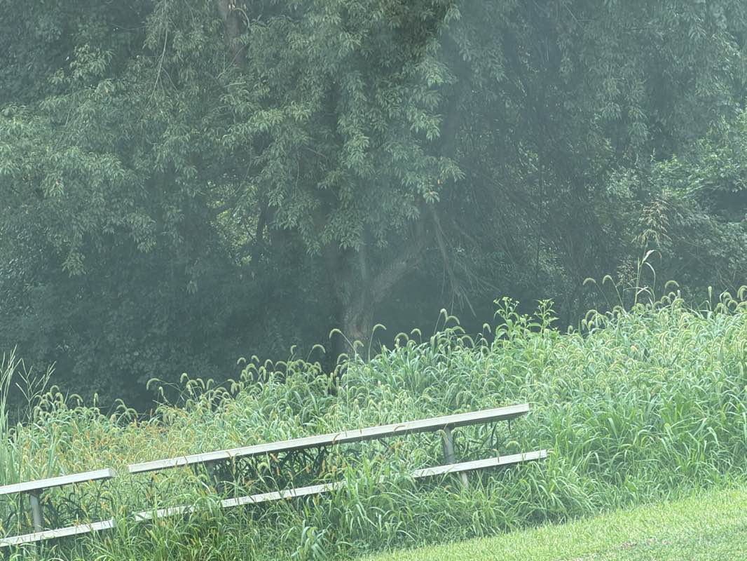 walking near me in Fox Valley Park in summer
