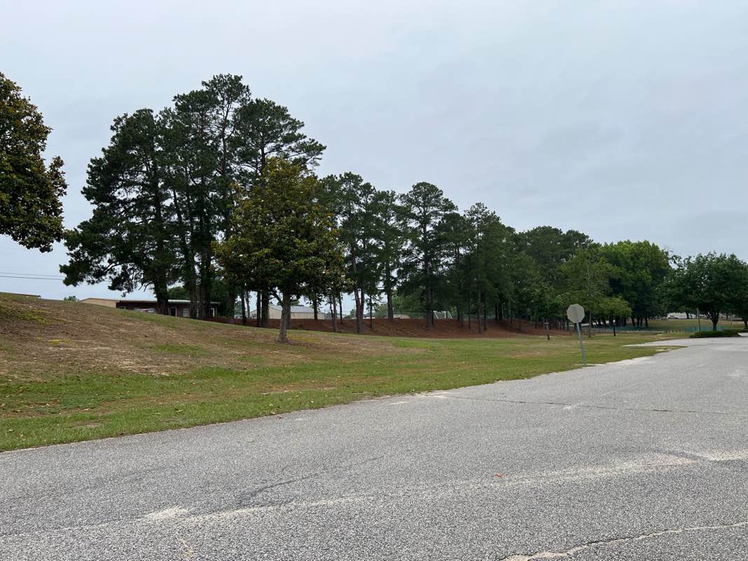 walking near me in McLeod Park in spring