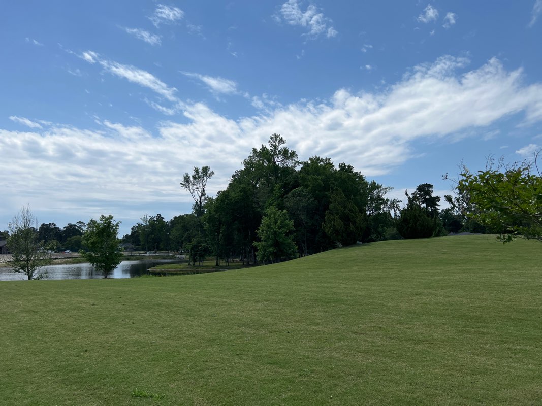 walking near me in Lake City Lake Park in spring