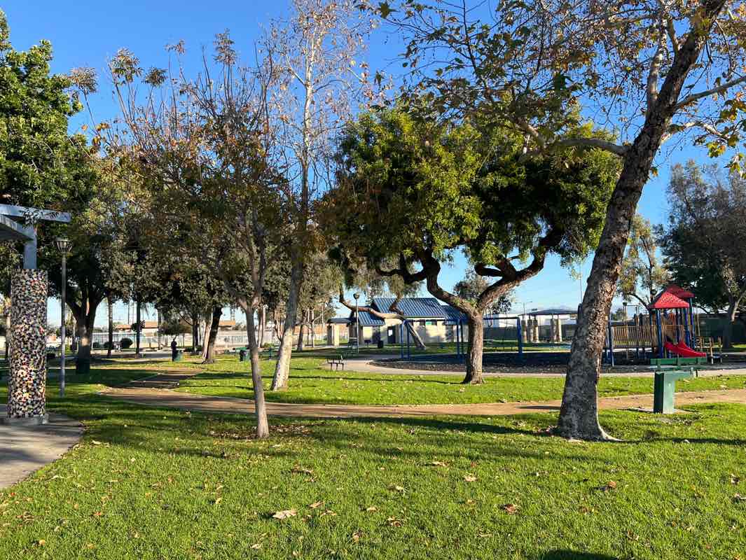walking near me in Eucalyptus Park in winter