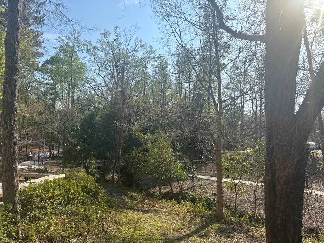 walking near me in Virginia Hilton Park in spring