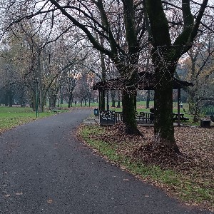 Patty 🐟🐟 profile