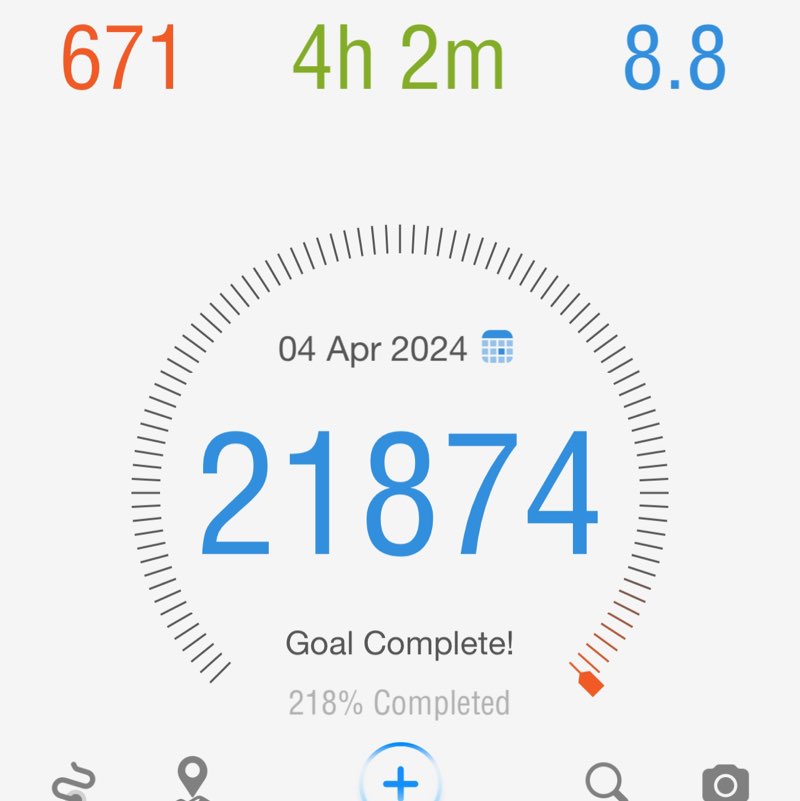 Deaf Woman Walking with Penny Deaf Woman Walking with Penny post image