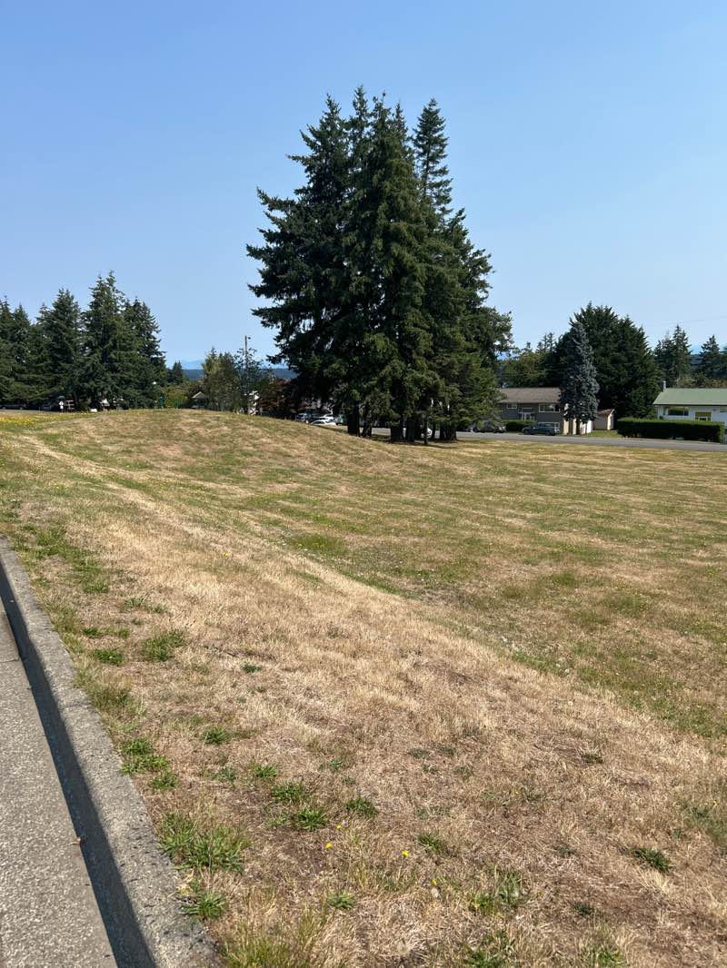 walking near me in Ruby Park in summer