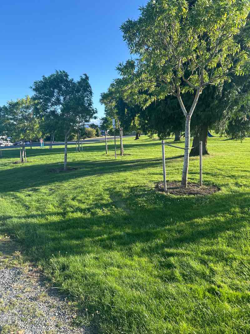 walking near me in Lilelana Park in summer