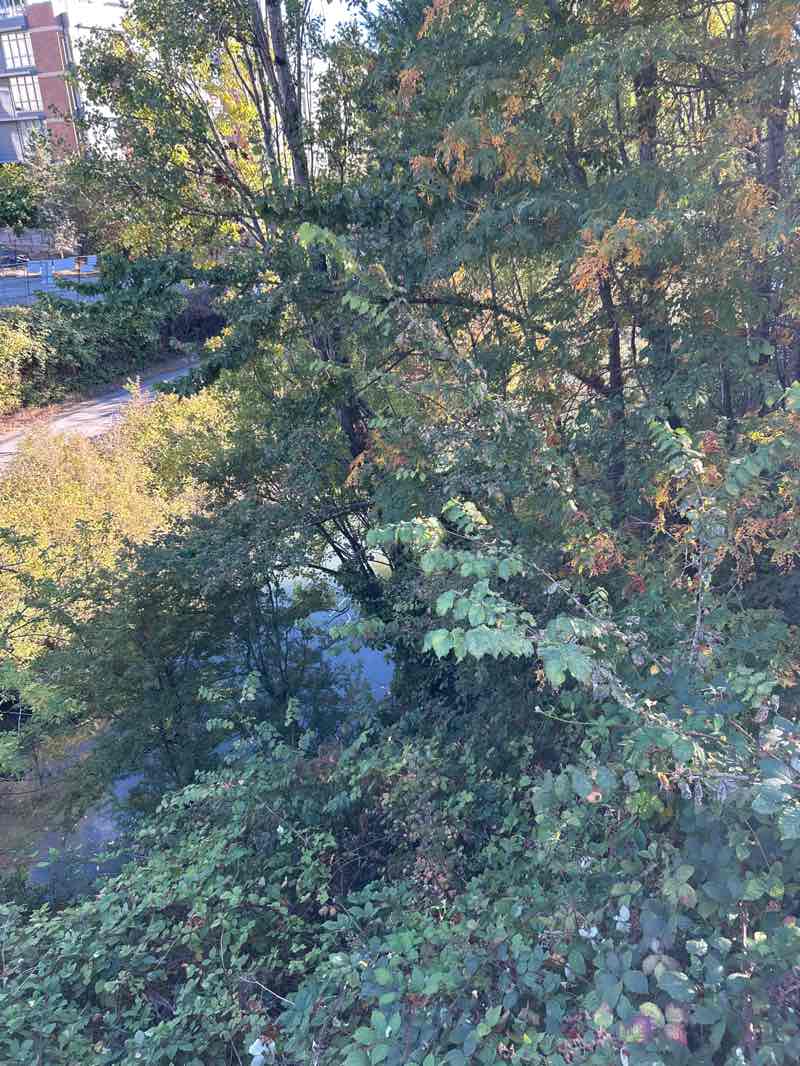 walking near me in Viaduct Park in autumn