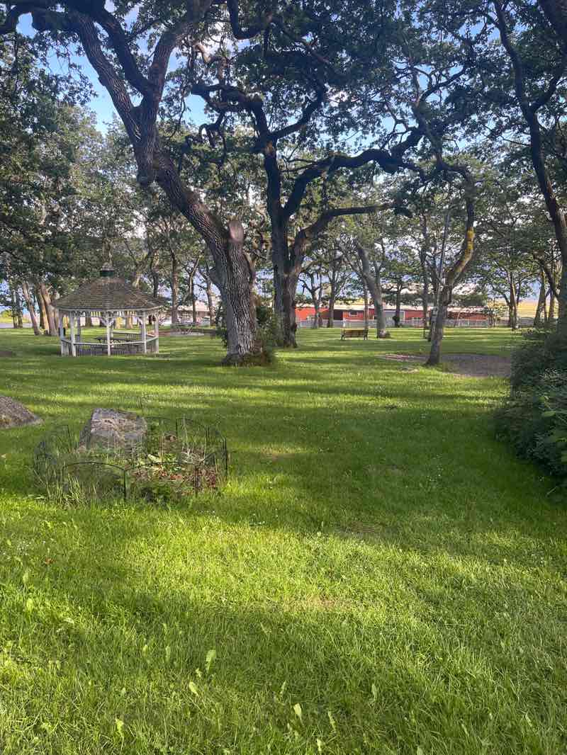 walking near me in Smith Park in summer