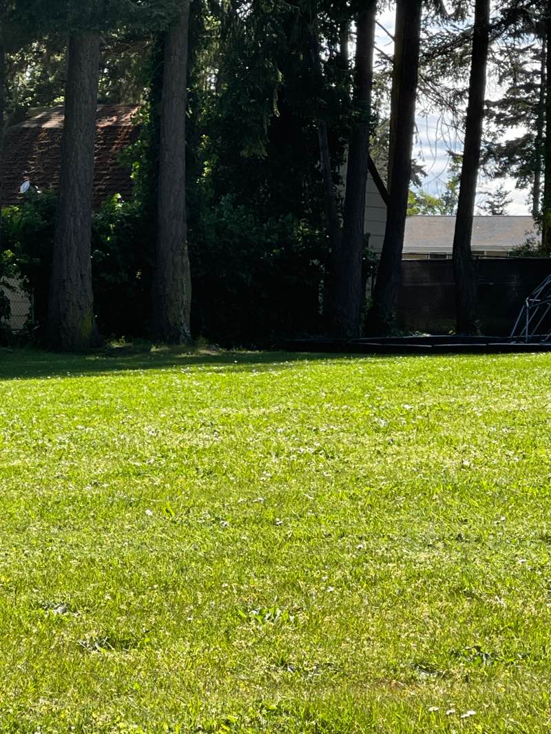 walking near me in Shadow Glen Park in summer