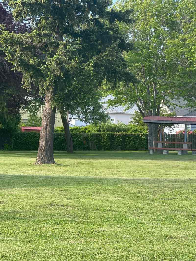 walking near me in Sumner Park in summer