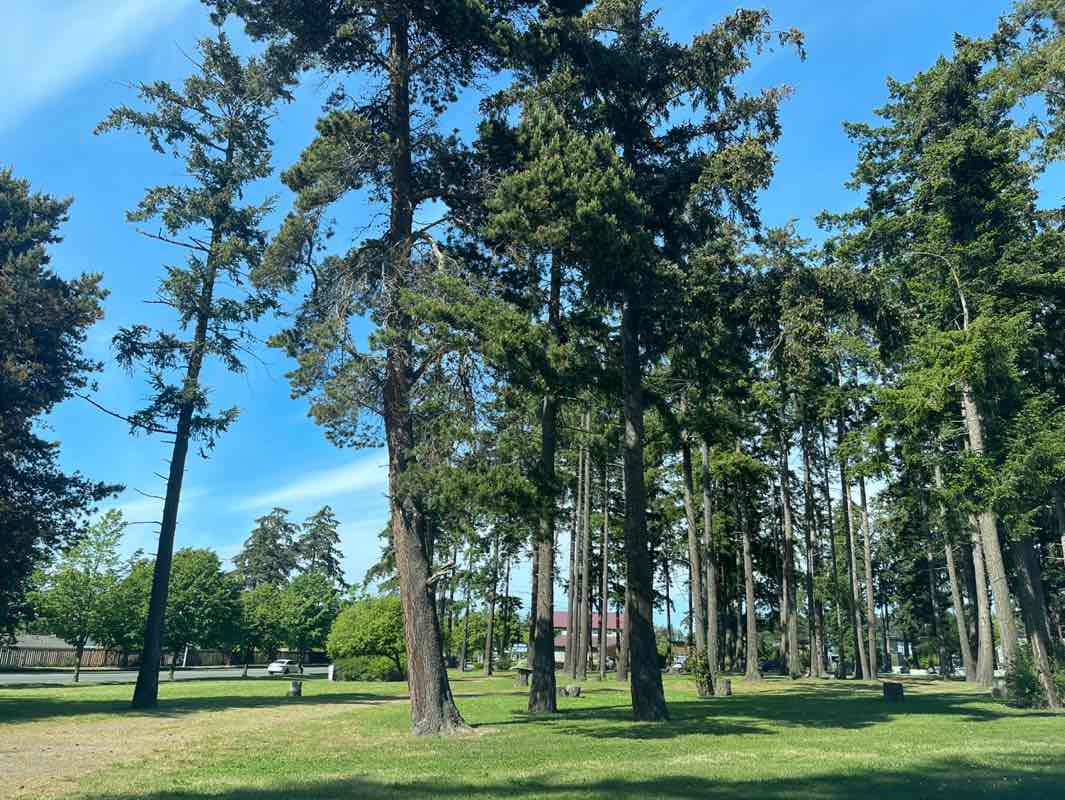 walking near me in Rotary Park in summer