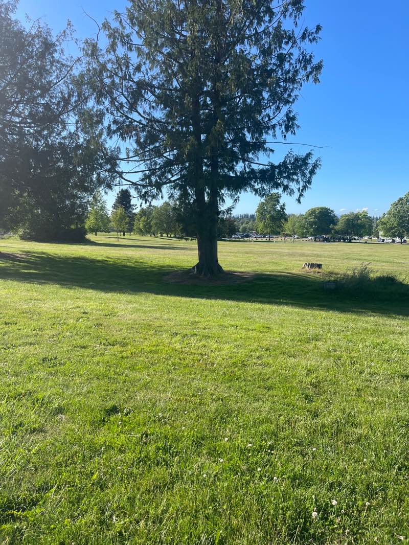 walking near me in Bakerview Park in summer