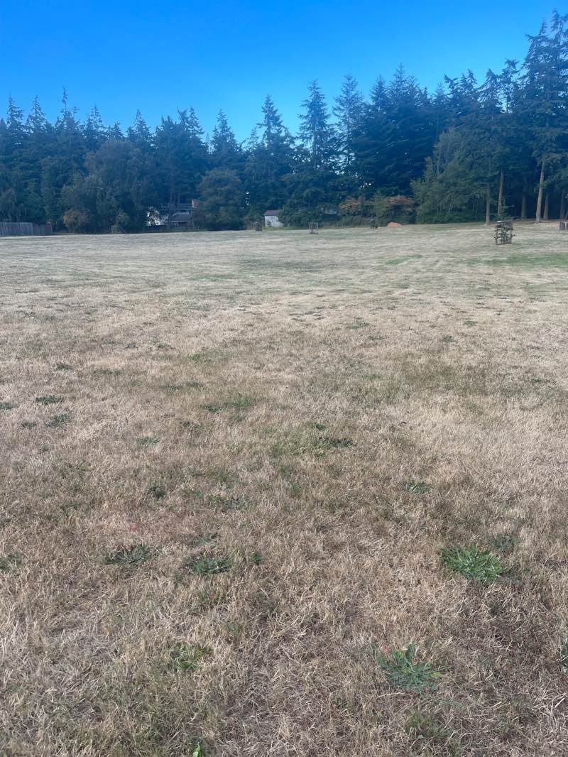 walking near me in Ridgehaven Park in summer