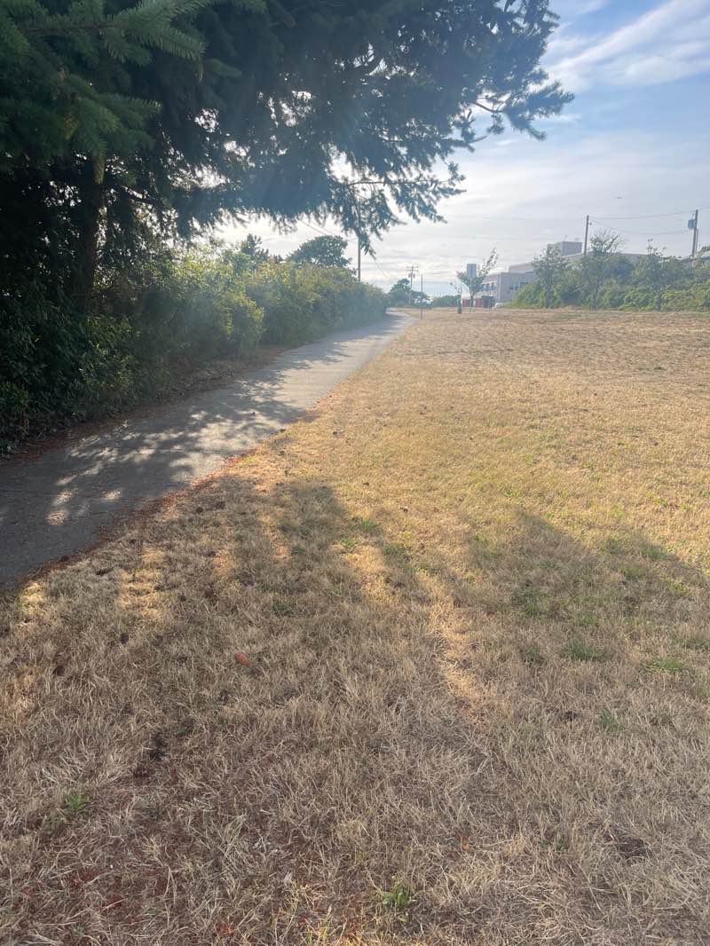 walking near me in Marina Way Park in summer