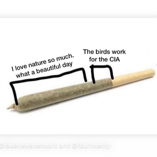 TheHealthyHombre🌿✊🌿 post 2