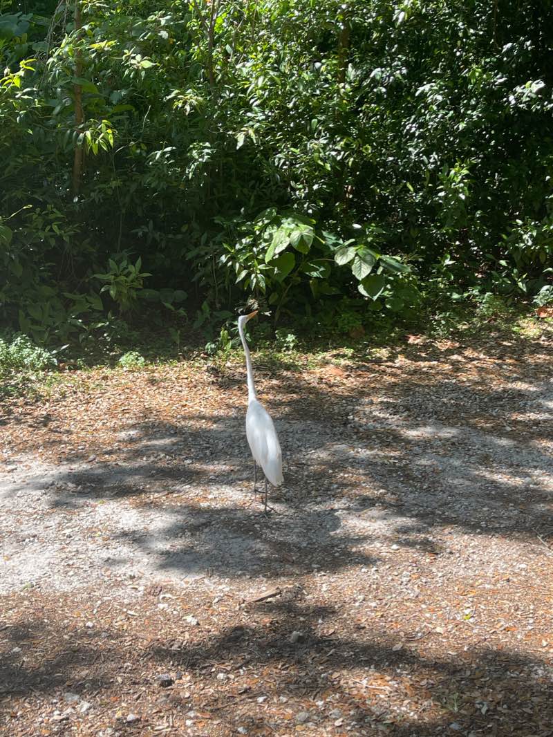 walking near me in Arch Creek Park in winter