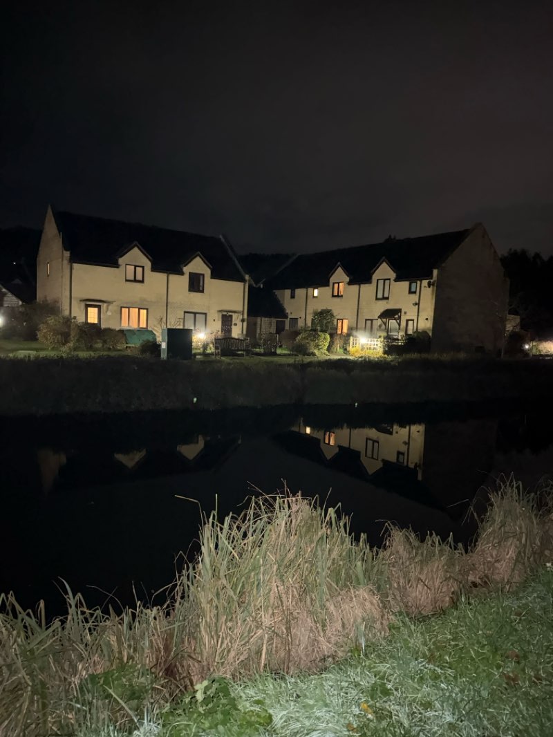 walking near me in Sydney Gardens in autumn