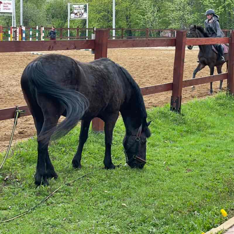 Денис 🇷🇺 🔥 post 2