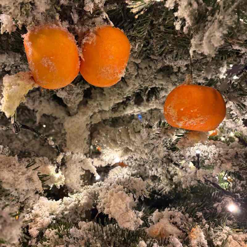 Денис 🇷🇺 🔥 post 3