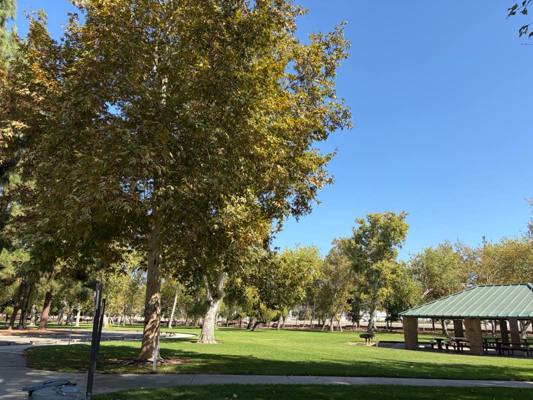 walking near me in Yorba Regional Park in summer