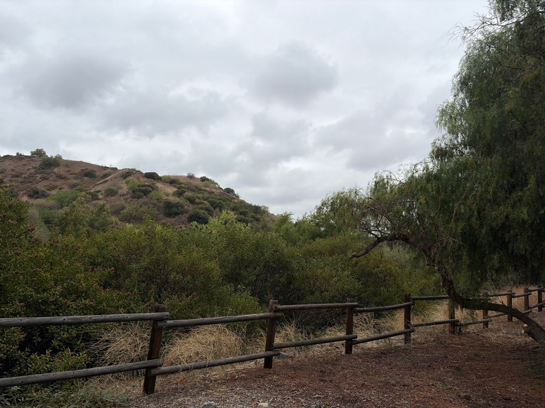 walking near me in Carbon Canyon Regional Park in summer