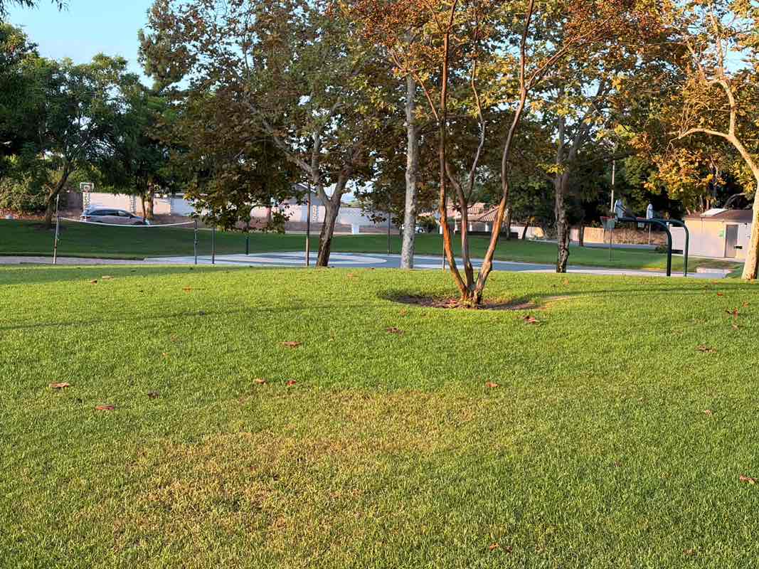 walking near me in Jessamyn West Park in summer