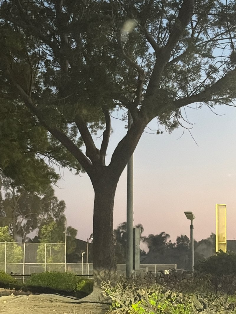 walking near me in Placentia Champions Sports Complex in autumn
