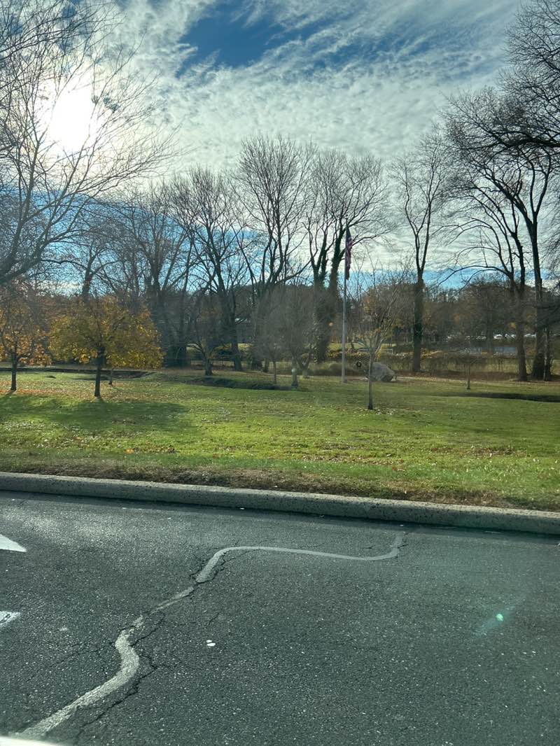 walking near me in Village Green Park in autumn