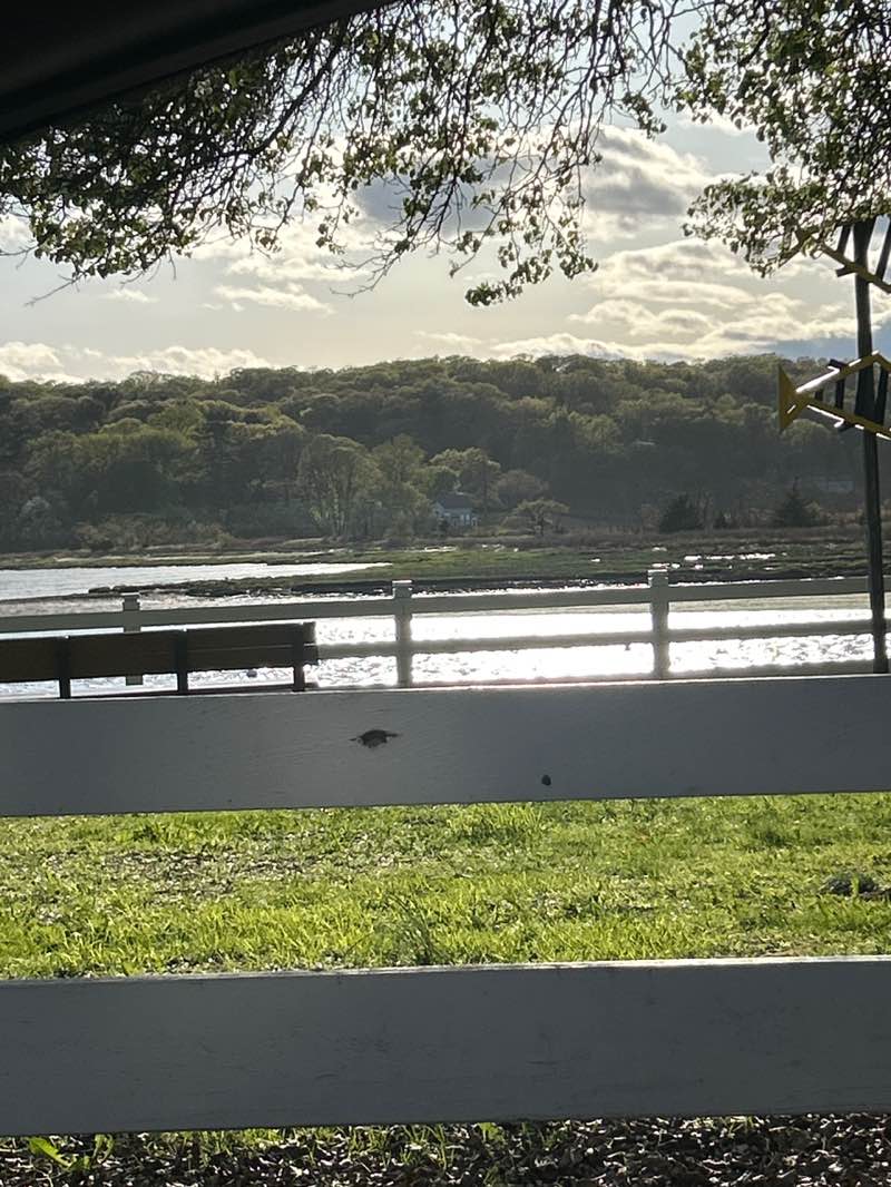 walking near me in Billy Joel Park & Boat Ramp in spring