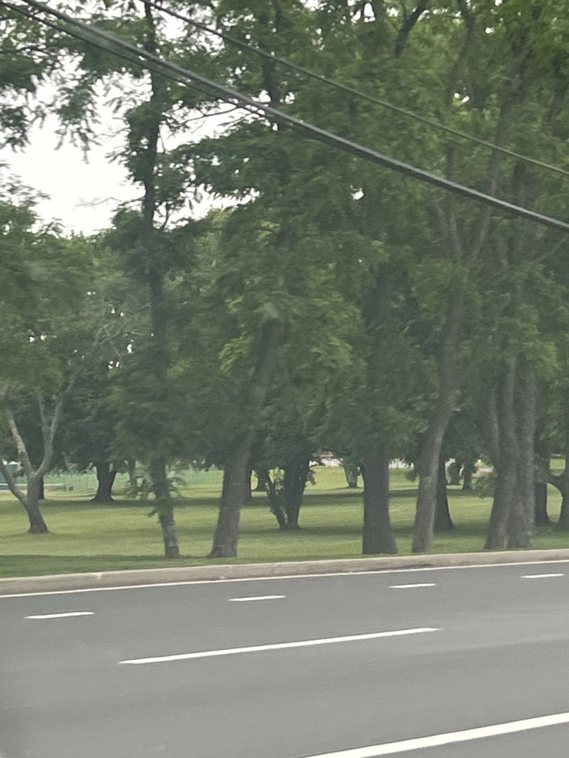 walking near me in Fair Meadow Park in summer