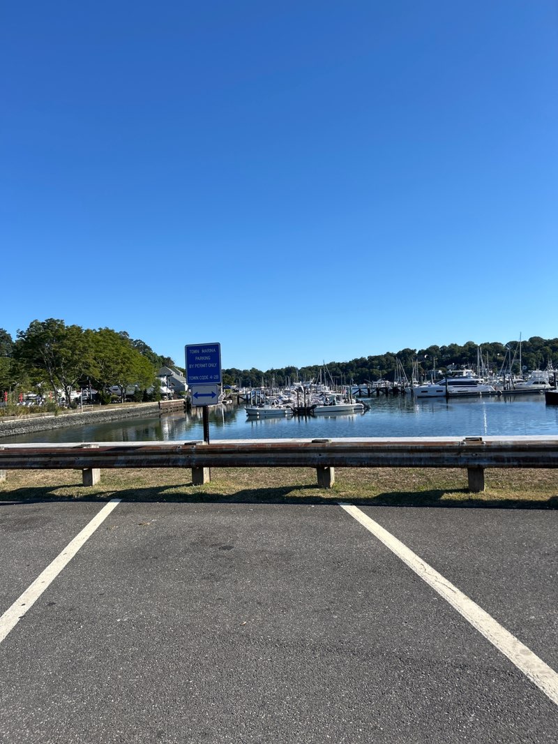 walking near me in Mill Dam Park in autumn