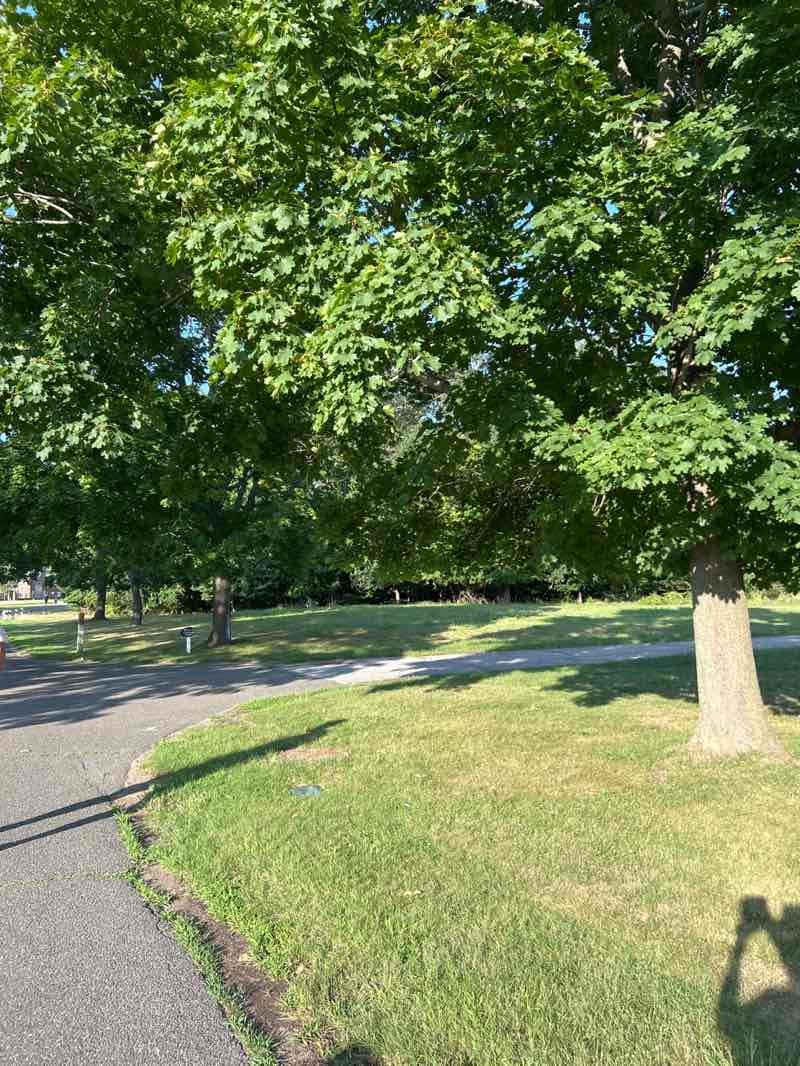 walking near me in Caumsett State Park in summer