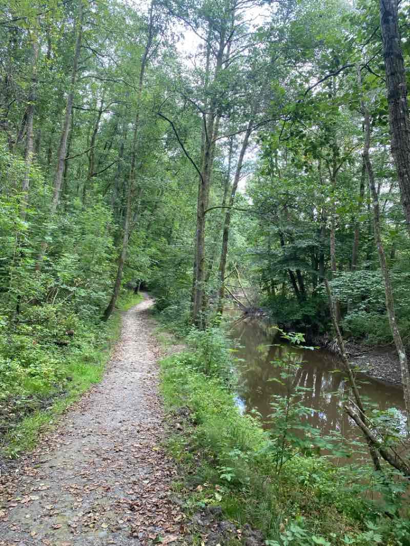 walking near me in Burgårdsparken in winter