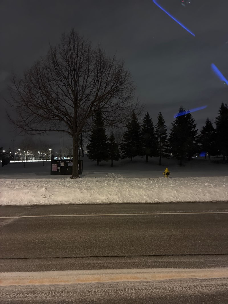 walking near me in Matthew Park in winter